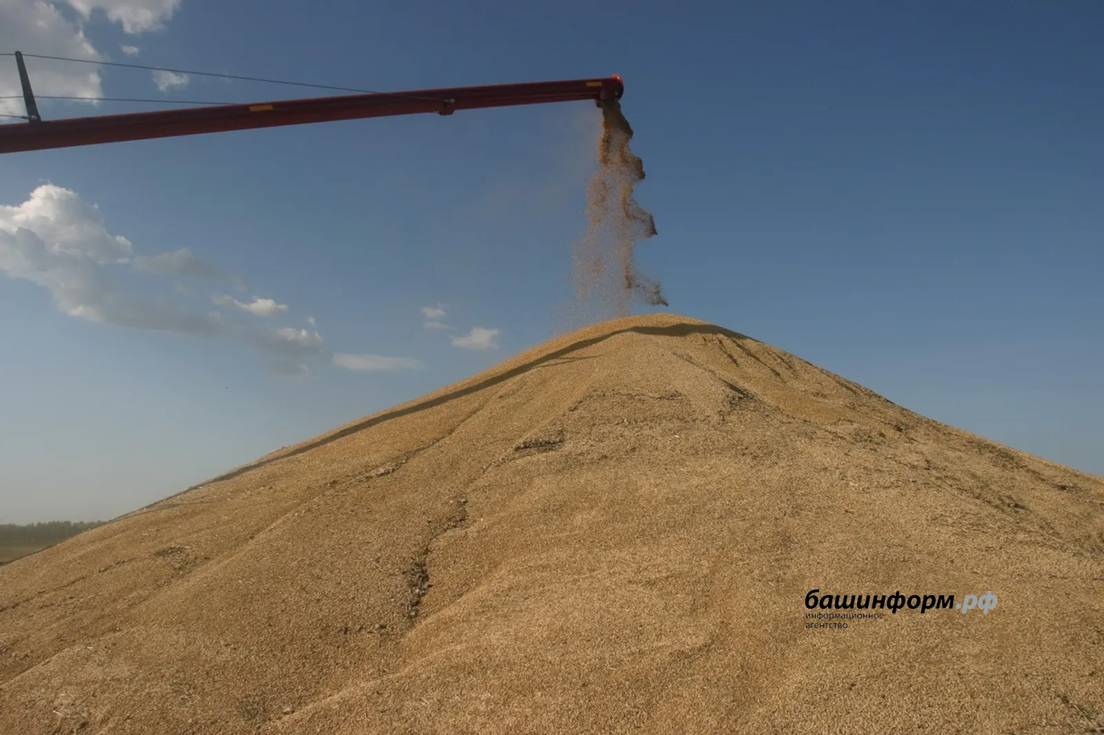 Башкириысь ю тысь мукет регионъёсы трос вузамын