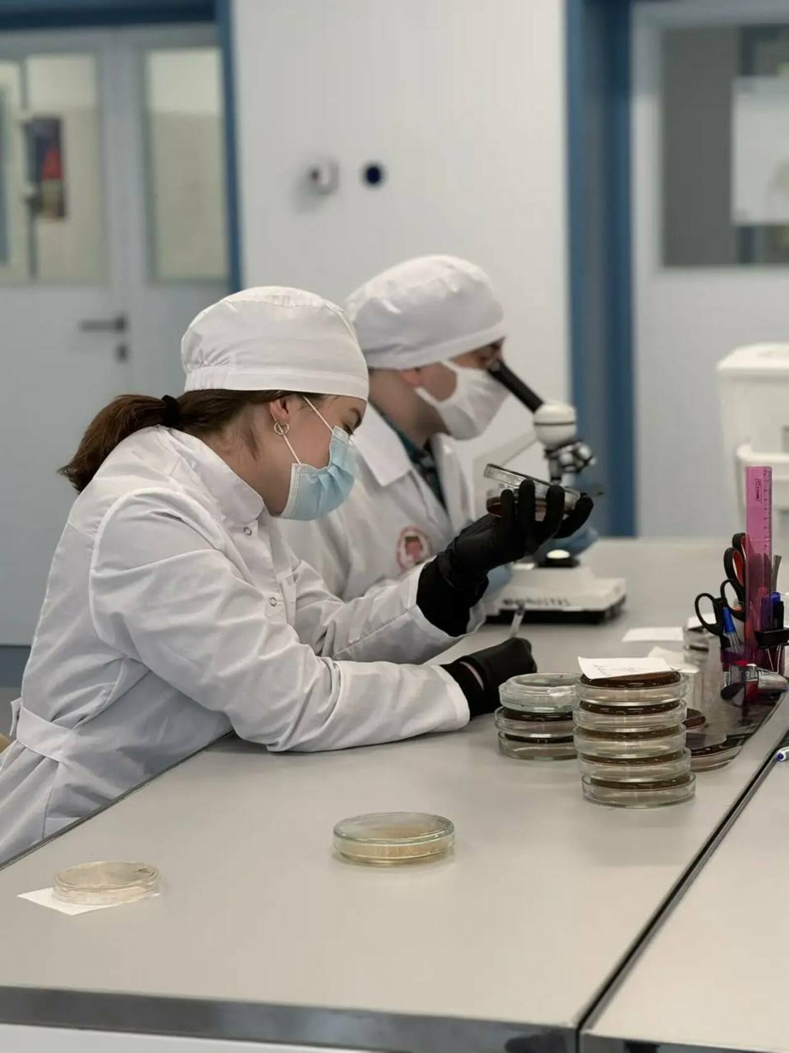 Создали тест-система для быстрого поиска «бактерии стройности» у человека