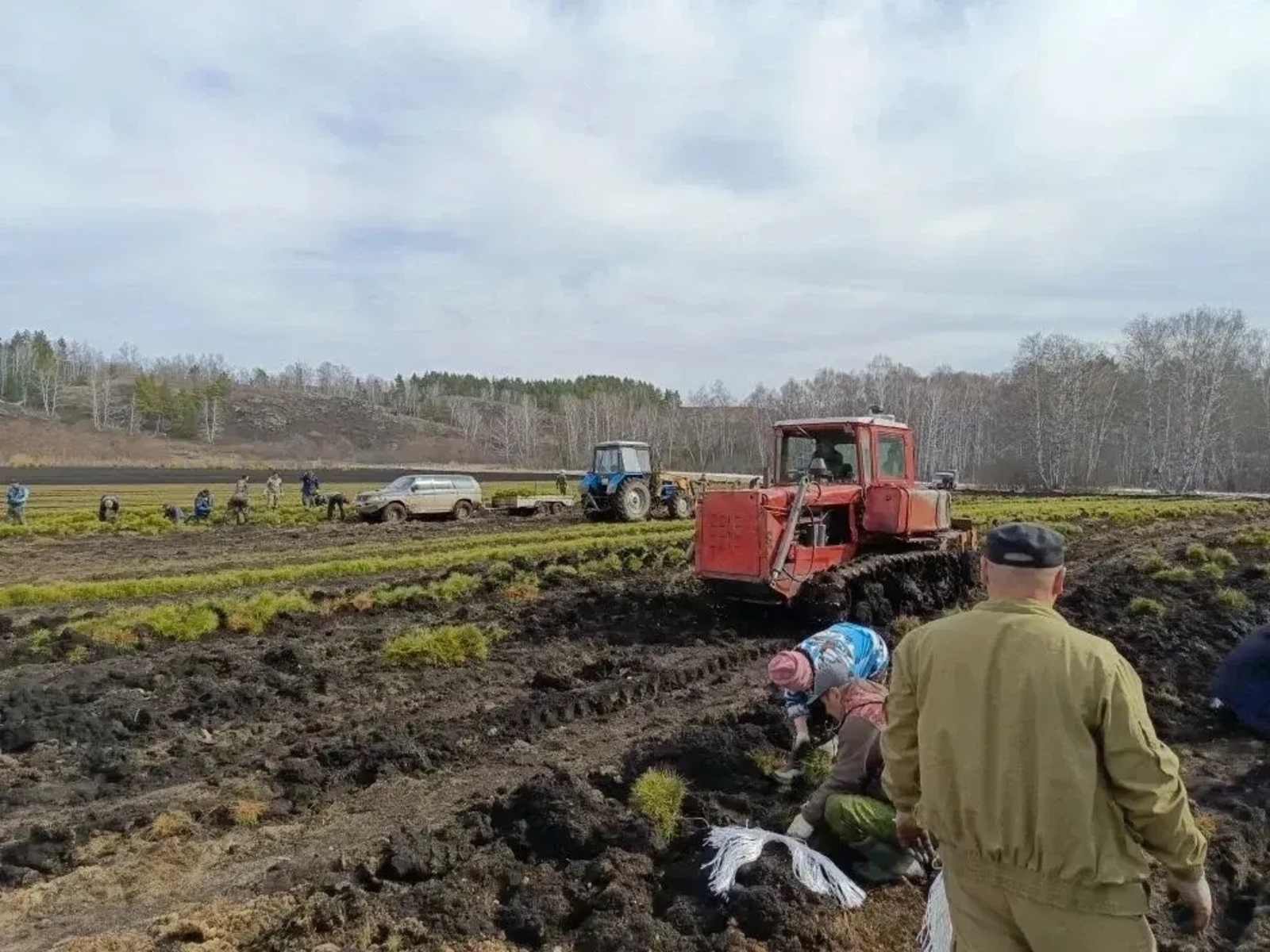 Лесоводы Башкортостана открывают сезон посадок
