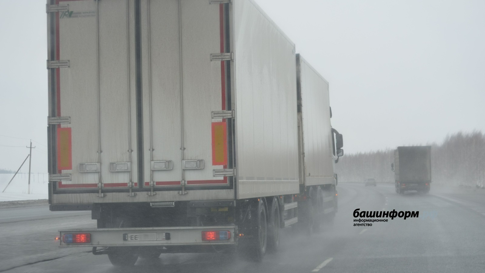 Сюресъёсты огдырлы пытсалозы