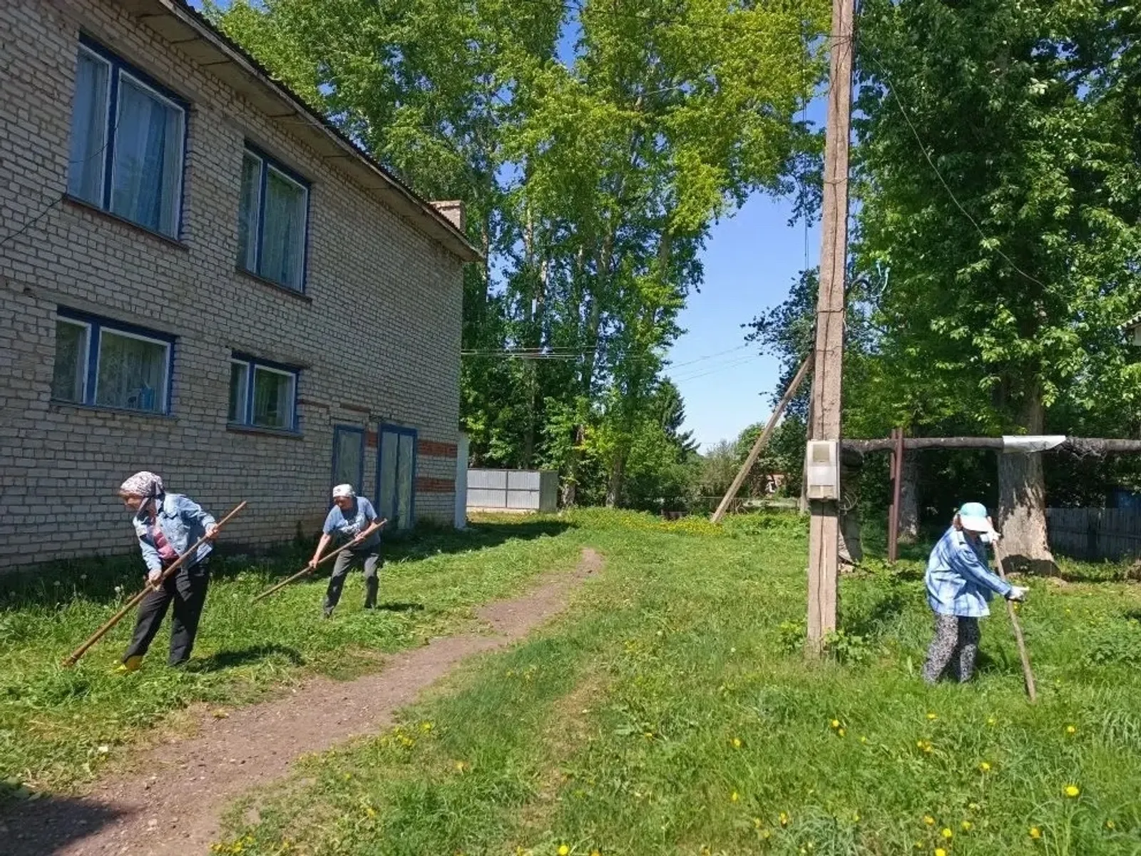 Вакчи дыр куспын жуг-жаг турынъёсты "вормизы"