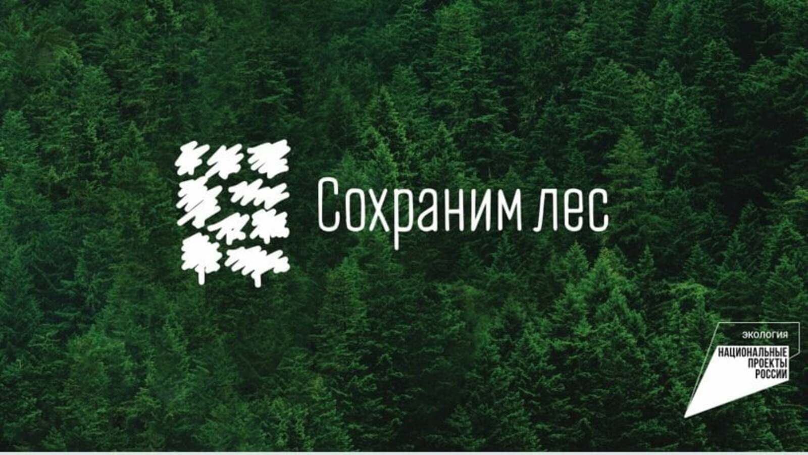 Башкортостан «Сохраним лес» акцие пыриськыны дасяське