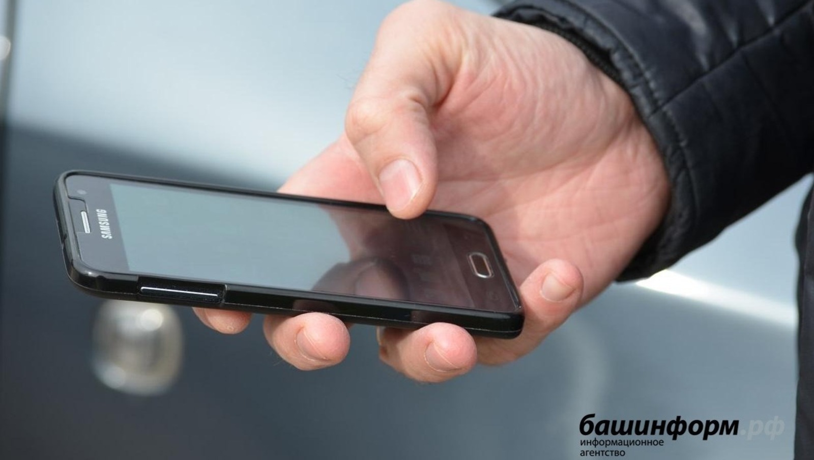 Пиосмурт йыртэмасьёслэн куриказы шедем