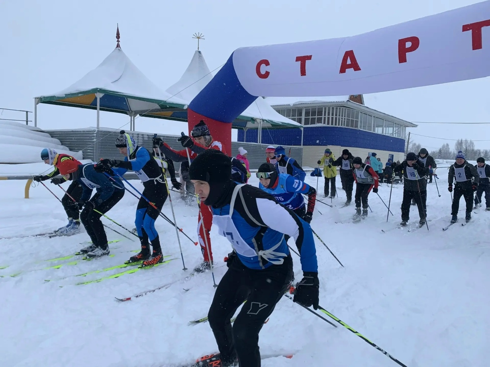 Куас сюрес вылын