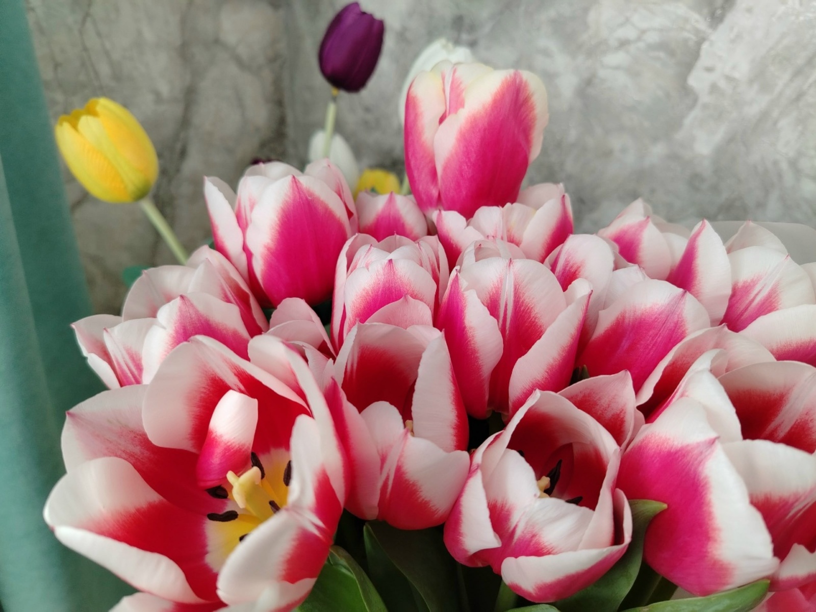 Сяська басьтӥсько шуыса, коньдонзэ ыштэм