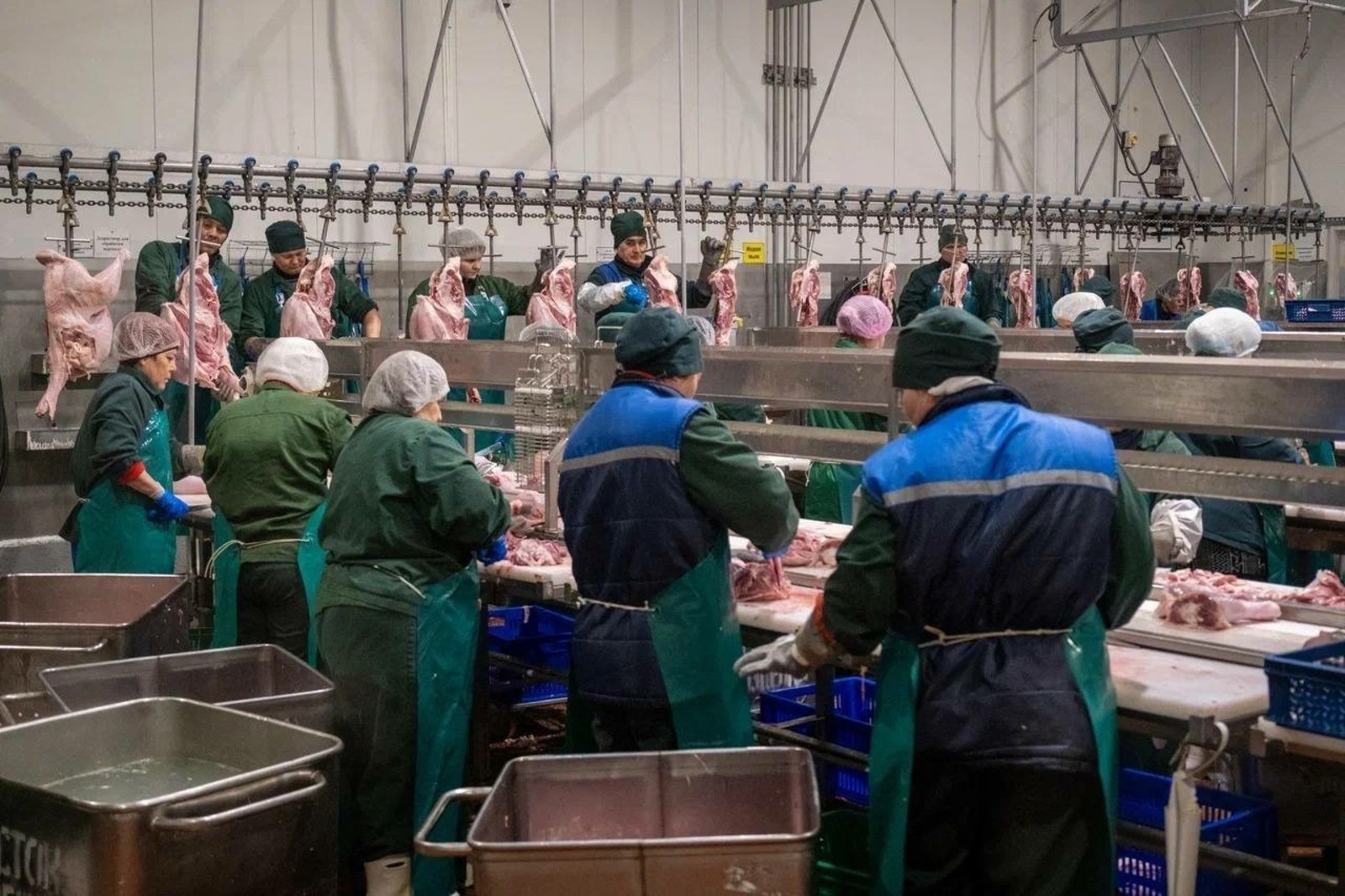 Кунгож сьӧры трос сӥль вузамын