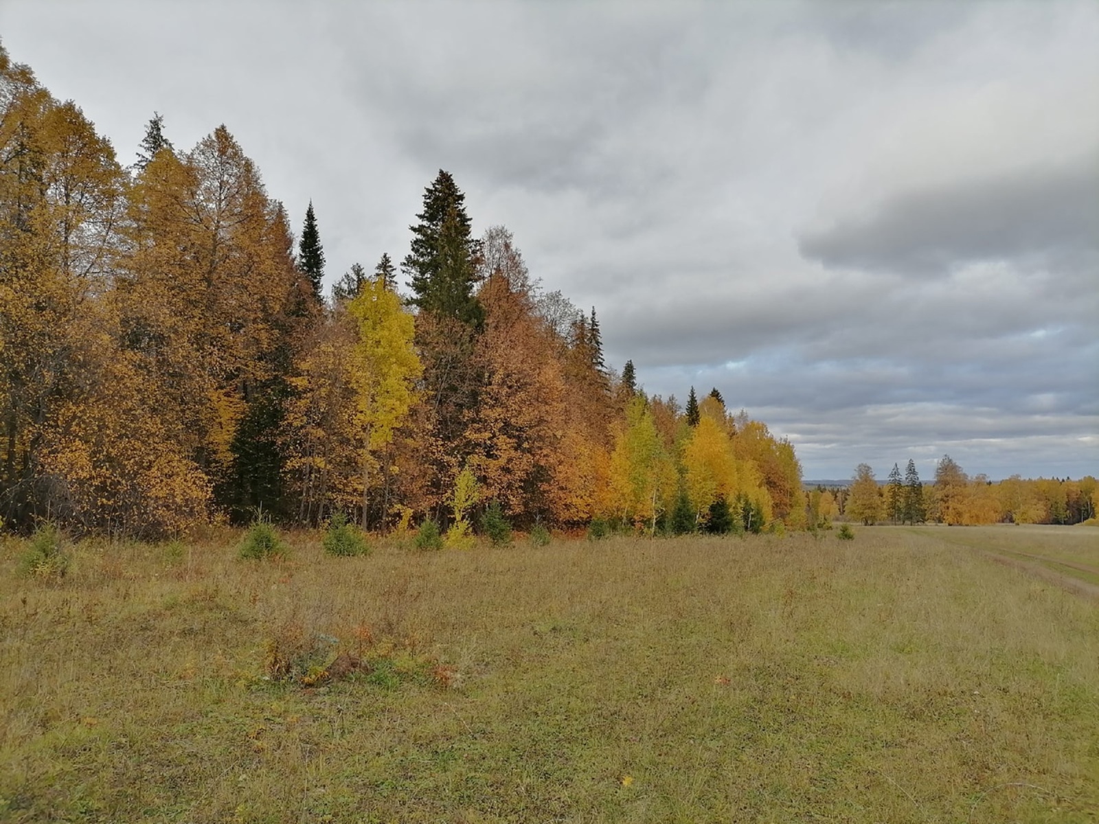 Куазь зорыны кутскоз