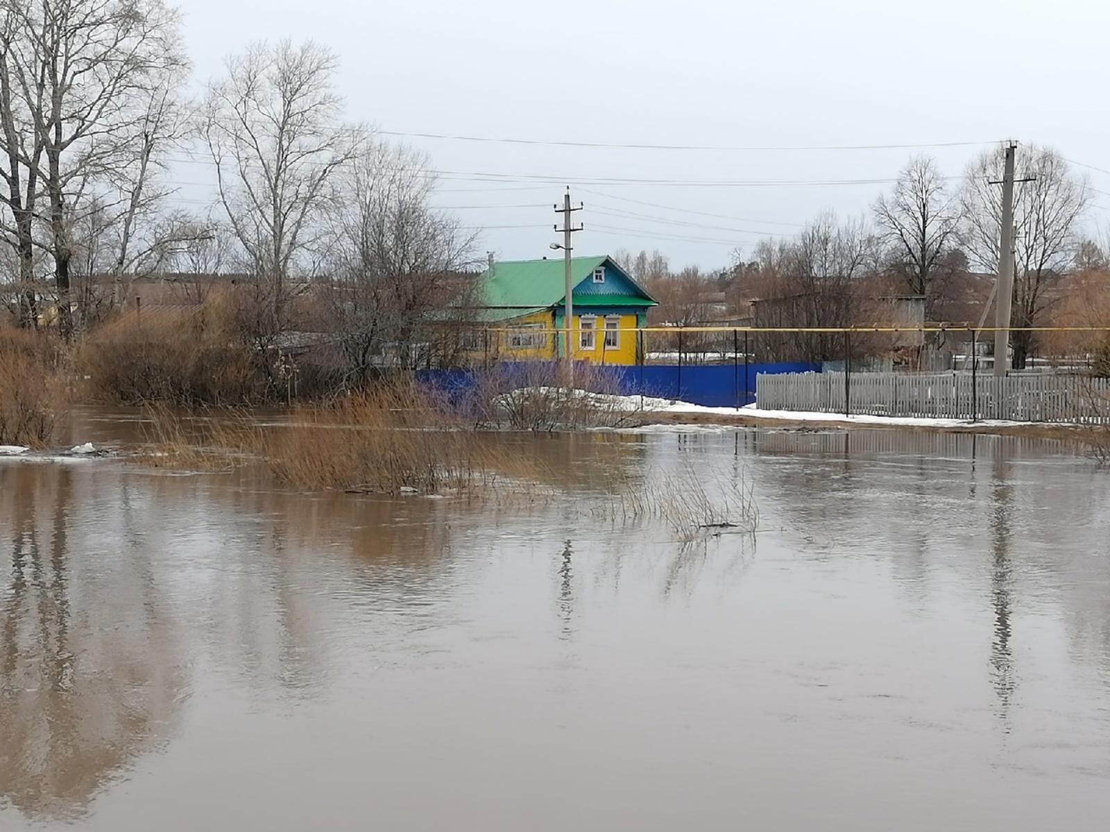 Лымы шуна, шуръёс ӧрысьтызы пото